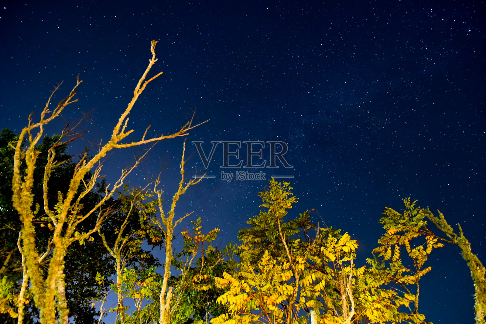 阿拉巴马州橙滩十月的天空照片摄影图片