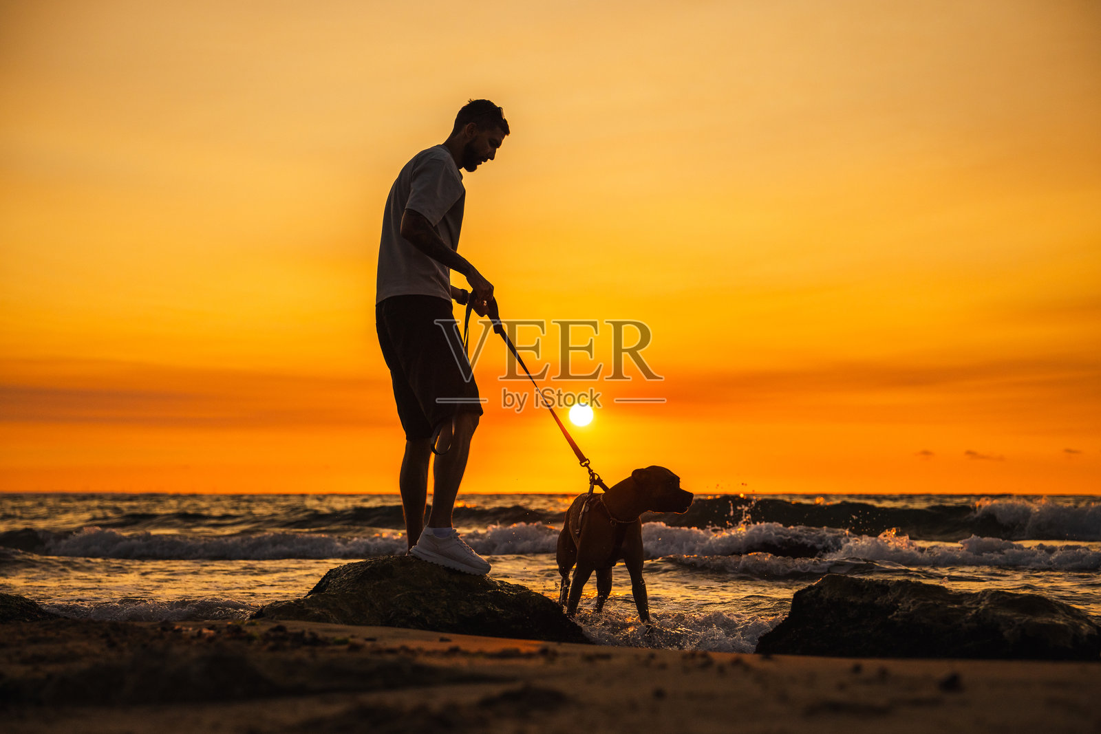 夕阳橙黄，海边礁石上，男人牵着一只德国牧牛犬，海浪拍打着他们。照片摄影图片