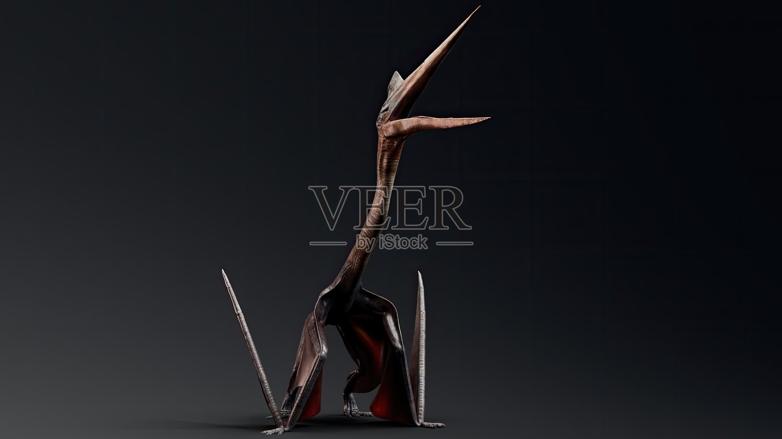 背景中的风神翼龙，3D模型渲染照片摄影图片