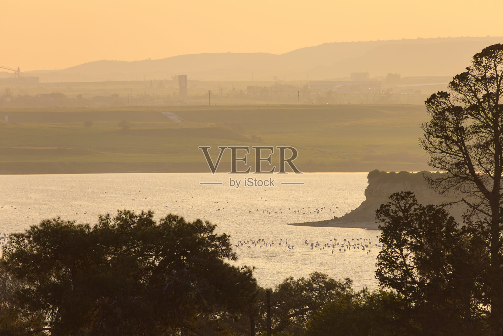 一群火烈鸟在薄雾笼罩、金色夕阳下的平静湖面上休憩。宁静的风景捕捉了自然界傍晚时分的祥和瞬间。照片摄影图片