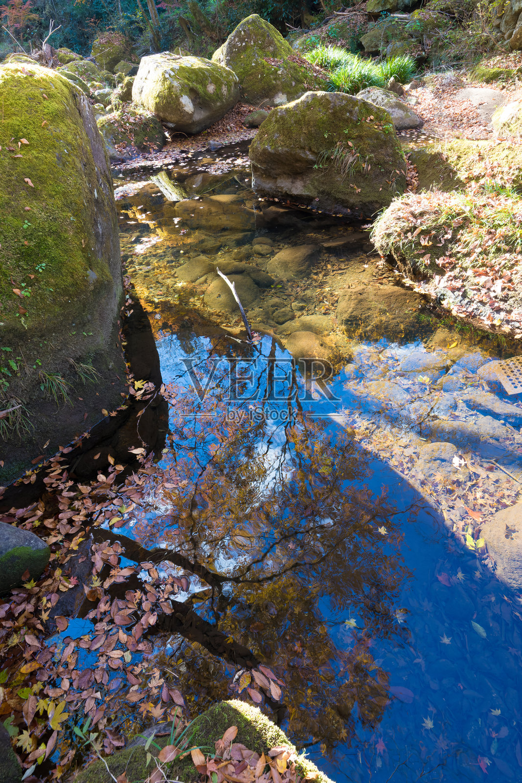 秋叶谷（大分县丰后大野市）照片摄影图片