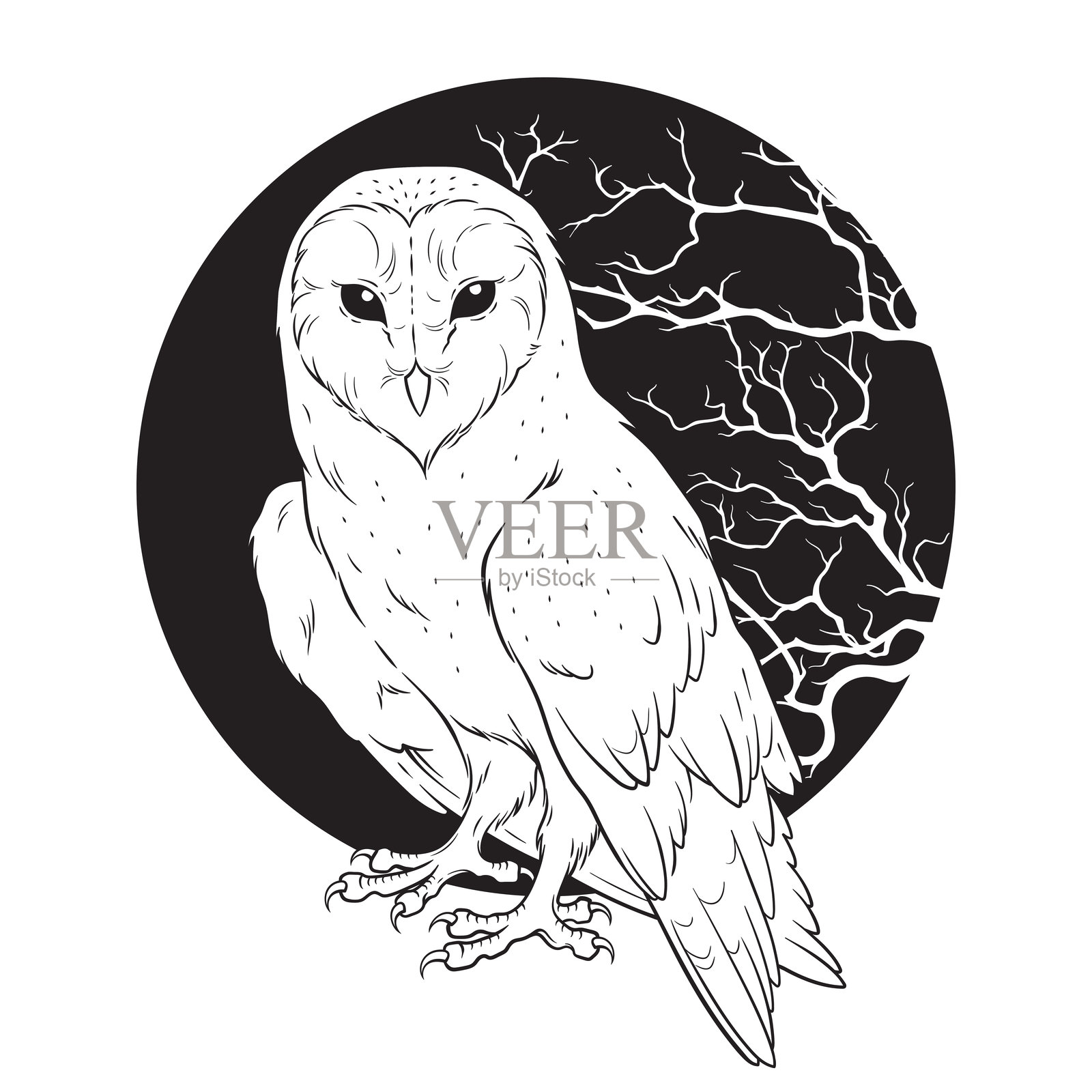 谷仓猫头鹰 夜间猛禽 手绘线条艺术 哥特式纹身设计 孤立的矢量图插画图片素材
