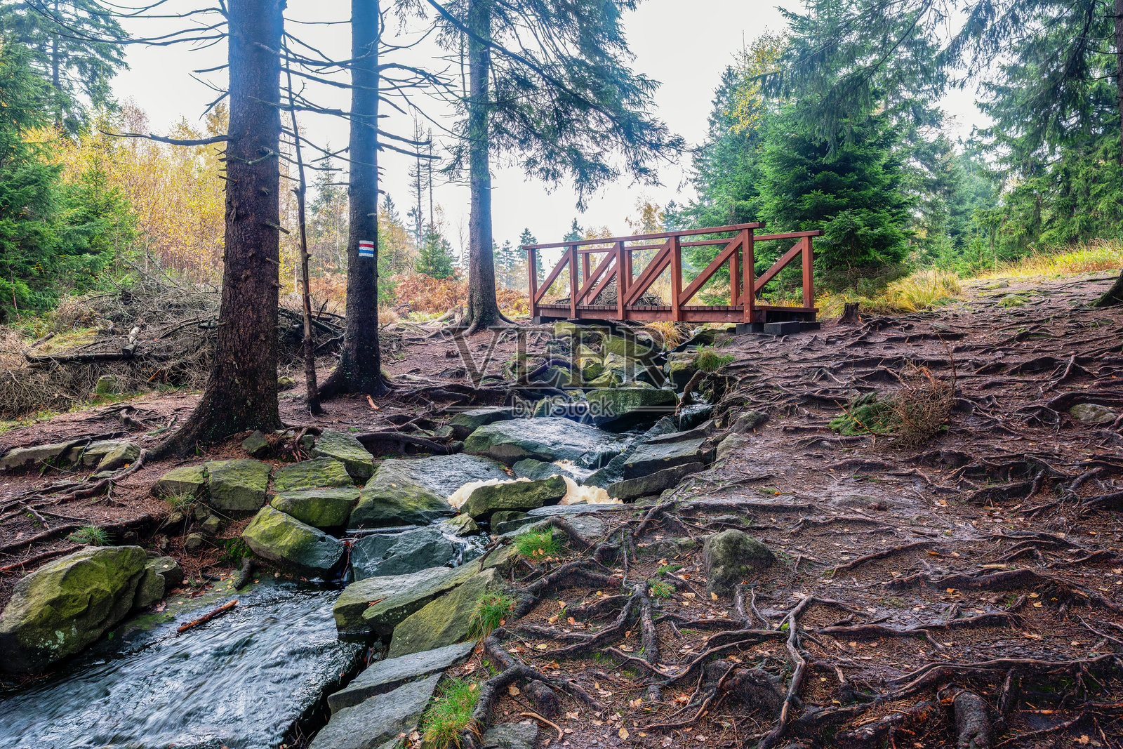 通往埃兰特岩石的蓝色小径照片摄影图片
