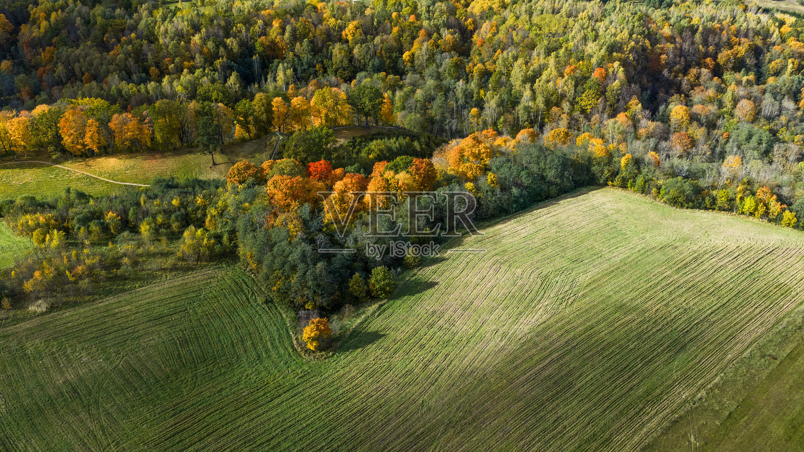 秋季布伊维代伊卡尔马济奈附近的土丘照片摄影图片