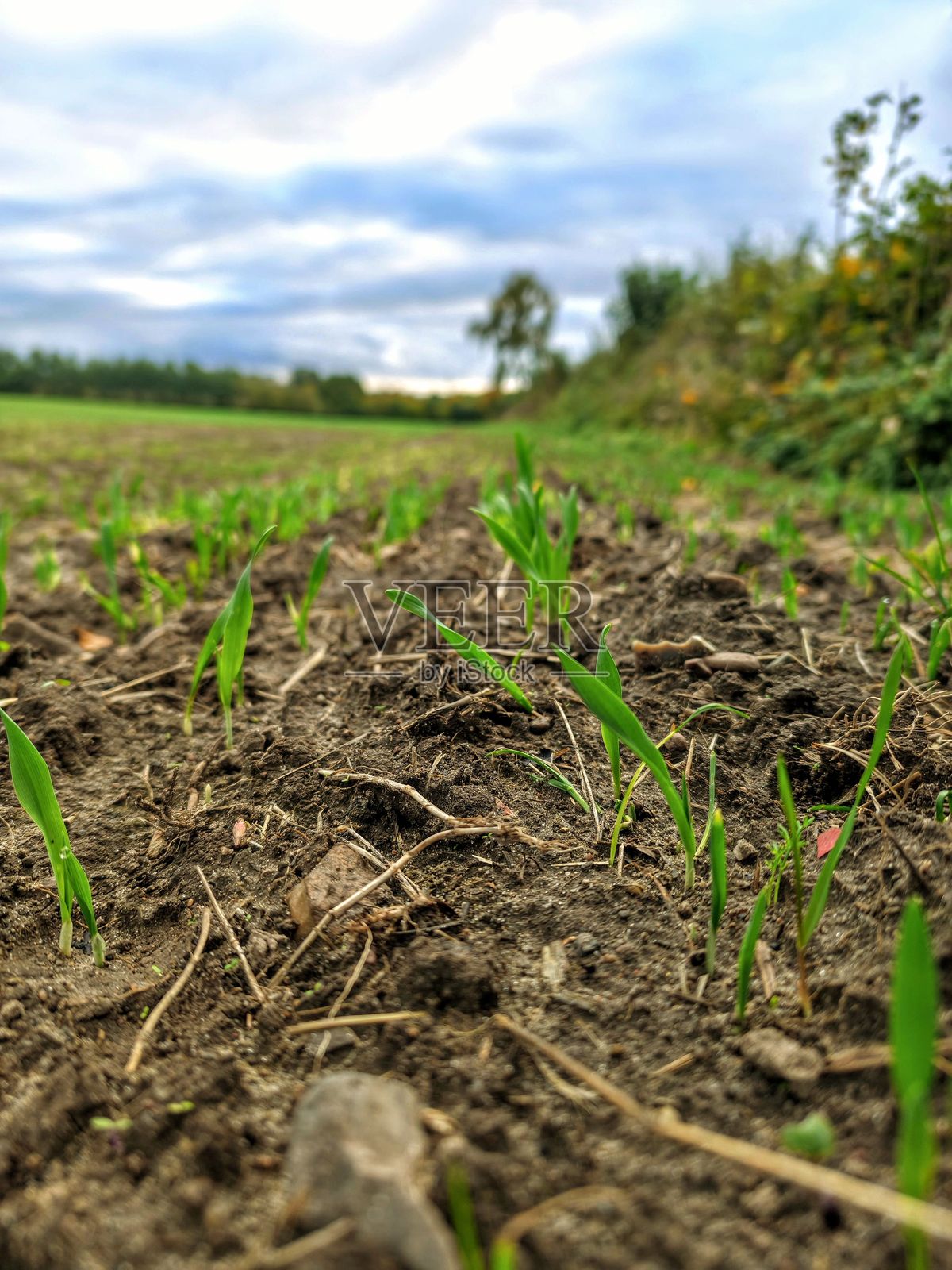 德国北部自然与风景照片照片摄影图片