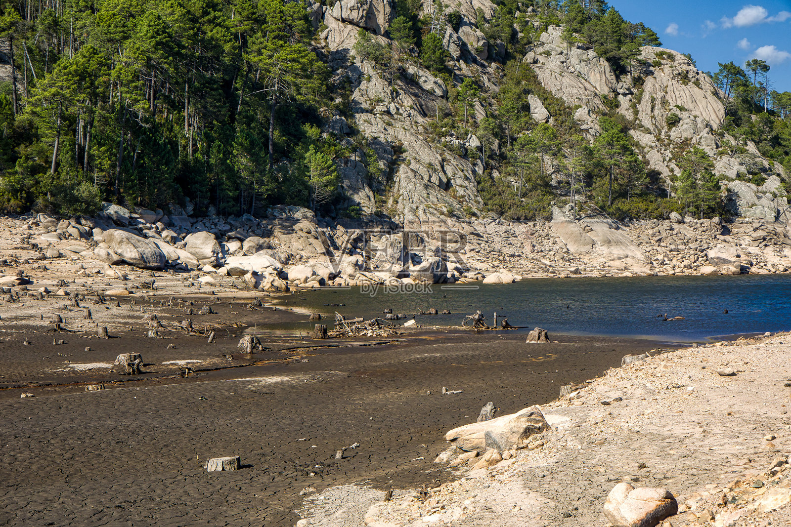 阳光明媚的蓝天下，奥斯佩达莱水库干涸的湖床和许多枯死的树桩照片摄影图片