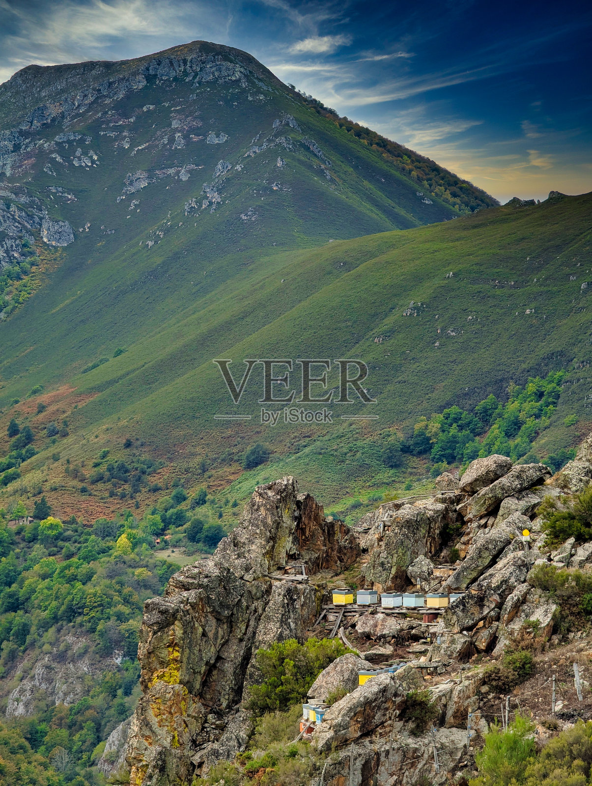 西班牙阿斯图里亚斯雷德斯自然公园和生物圈保护区，贝扎内斯通往布拉尼亚加洛内斯的道路上，位于埃尔波佐拉奥拉西翁观景点旁边的养蜂场照片摄影图片