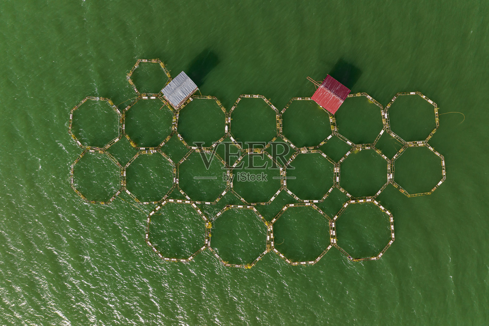 海洋、湖泊和河流中的渔业和养鱼场照片摄影图片