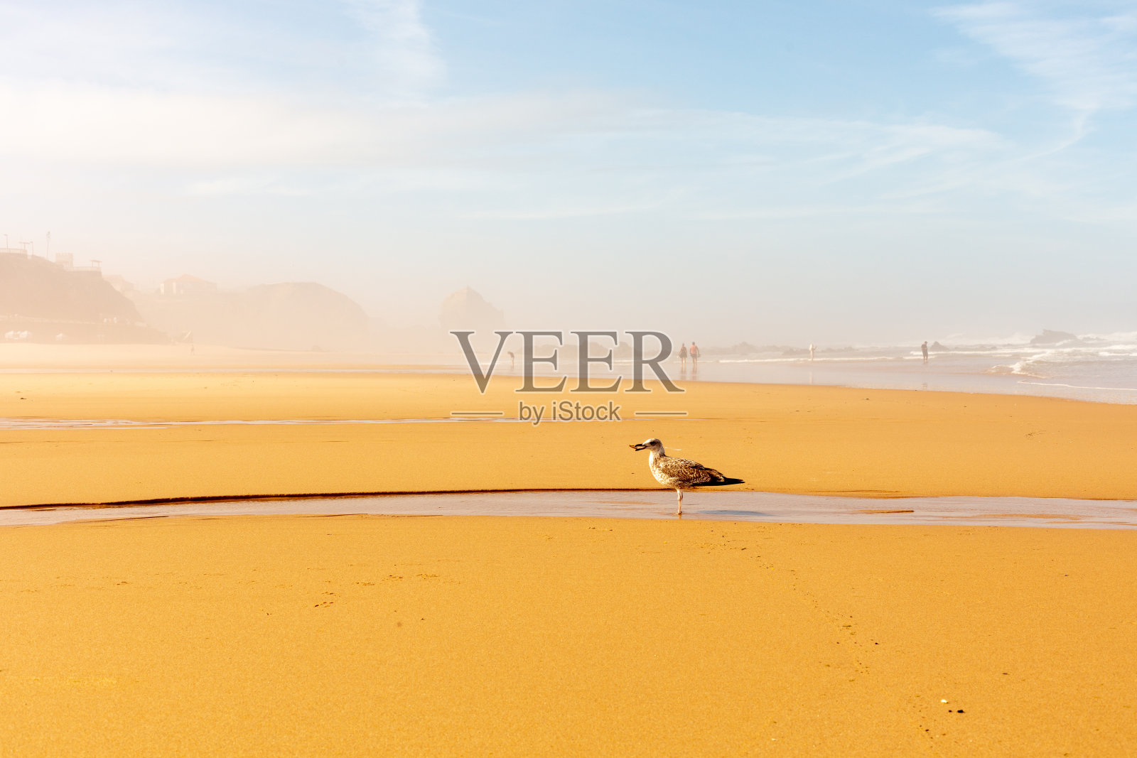 葡萄牙托雷斯韦德拉什圣克鲁斯。2025年9月10日。在晴朗的蓝天下，宽阔的沙滩上有海浪拍打。照片摄影图片