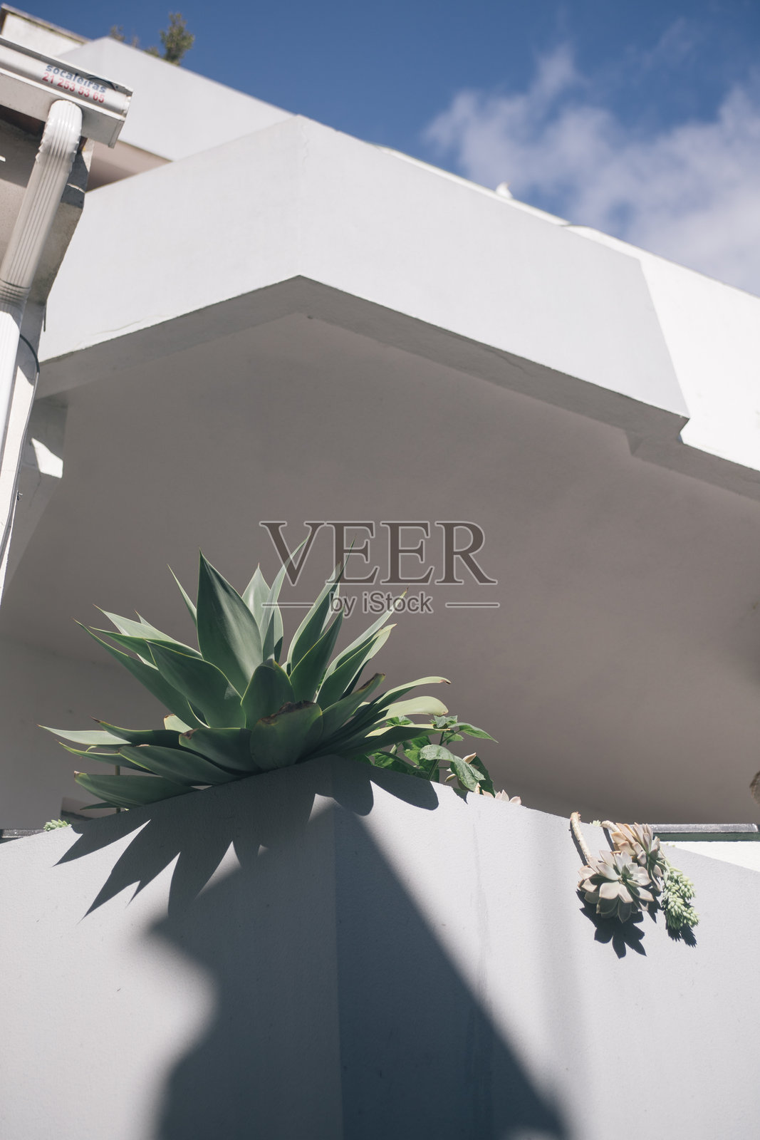 悬崖和森林附近的房屋和营地。卡帕里卡，里斯本，葡萄牙。2023年12月2日。照片摄影图片