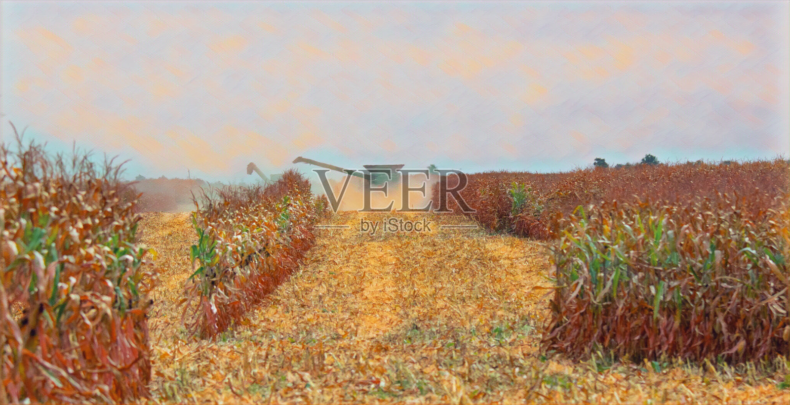 印第安纳州霍华德县的玉米收获照片摄影图片