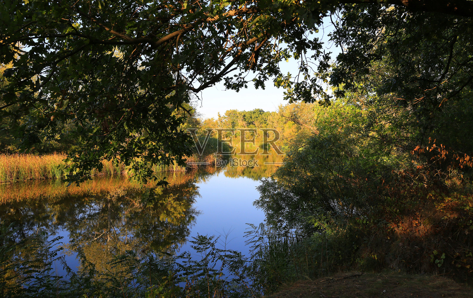 宁静的秋日河流照片摄影图片