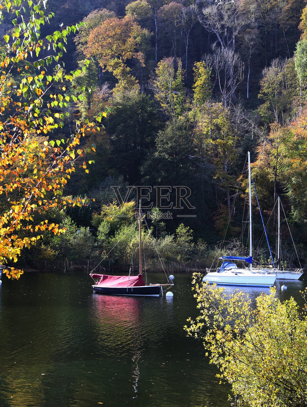 初秋时节，船只停泊的宁静河湾。照片摄影图片