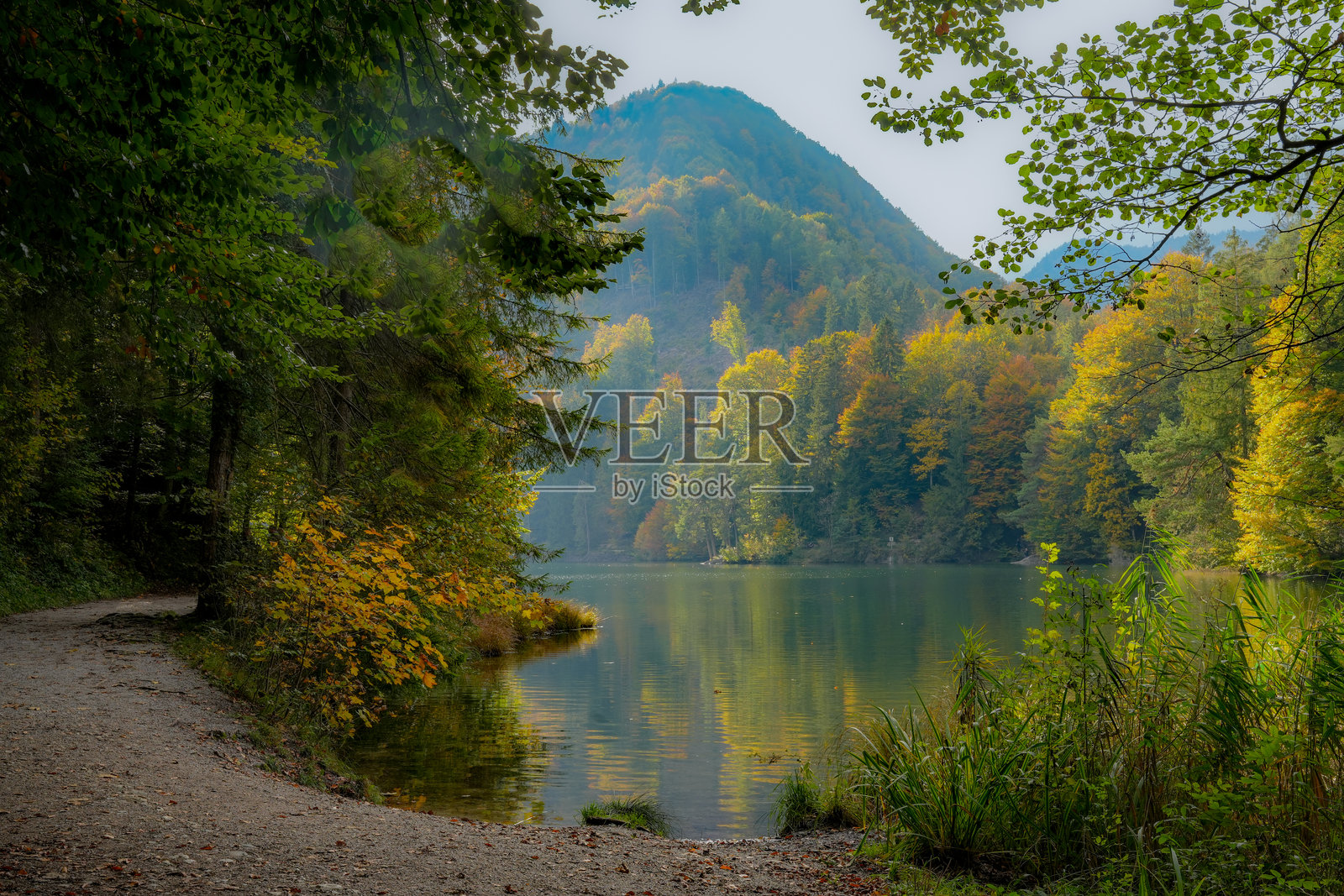 秋季徒步小径，可远眺海希特湖（Hechtsee），这是奥地利蒂罗尔州库夫施泰因附近布兰登贝格阿尔卑斯山脉一个受欢迎的游泳湖。秋意盎然，树木色彩斑斓。照片摄影图片