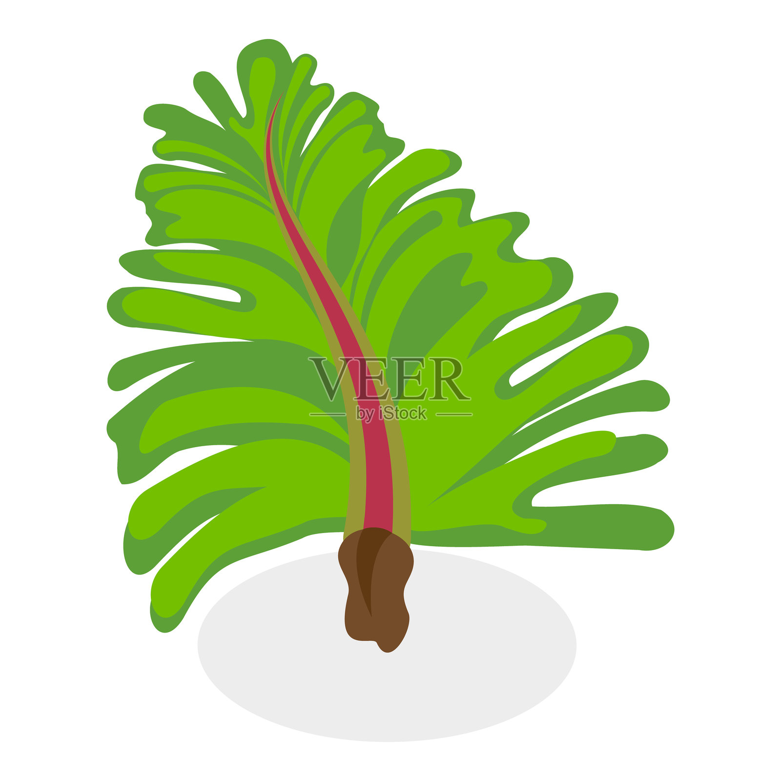 3D等距扁平矢量海藻套装。物品 6插画图片素材