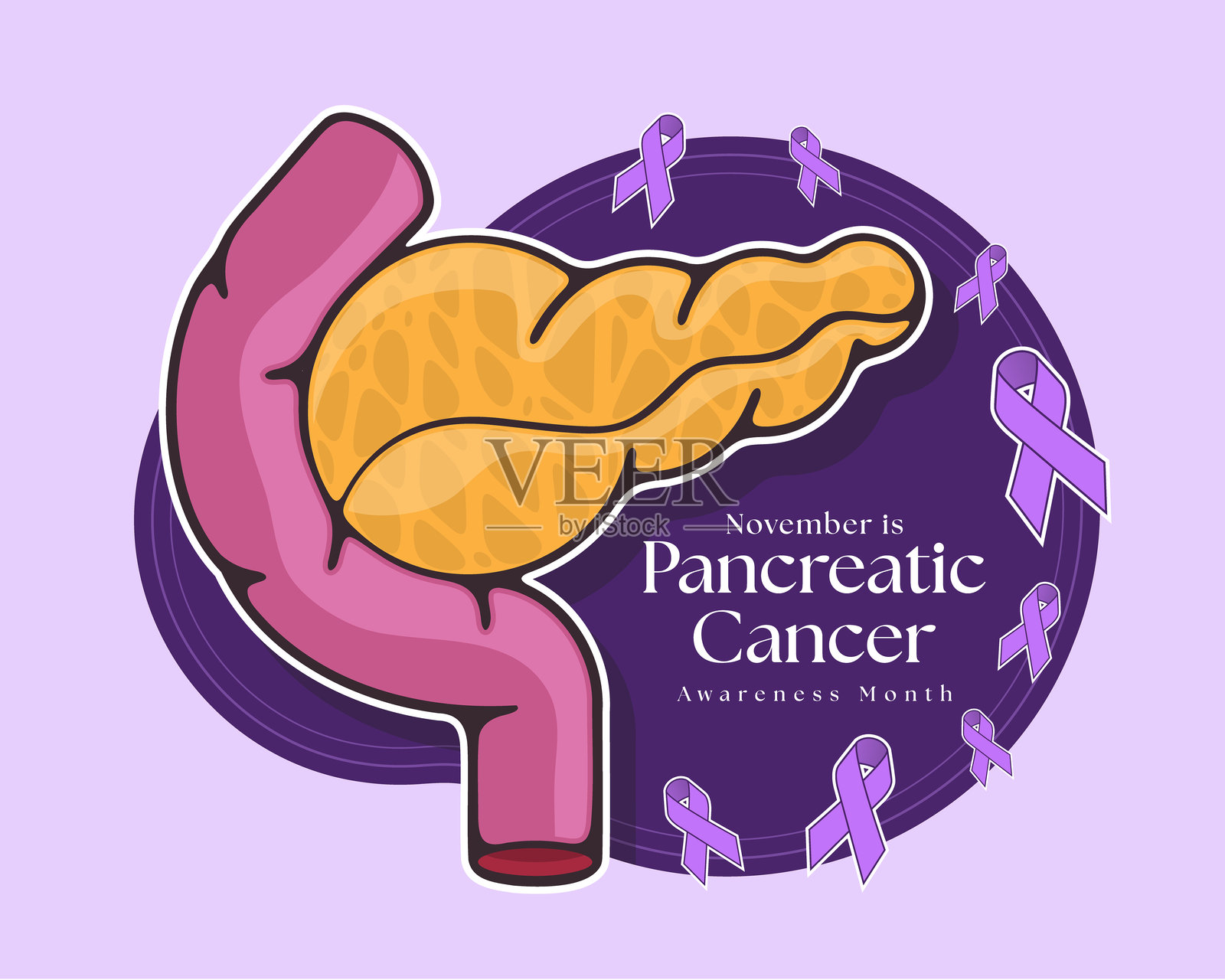 11月是胰腺癌宣传月，背景为深紫色，装饰有紫色丝带，并配有人体胰腺的矢量设计插画图片素材