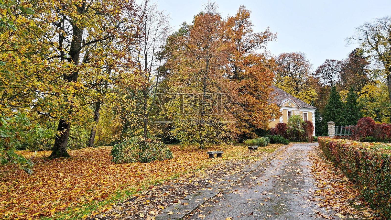 2021年9月，拉脱维亚卡兹当加村一处旧庄园内的自然秋景照片摄影图片