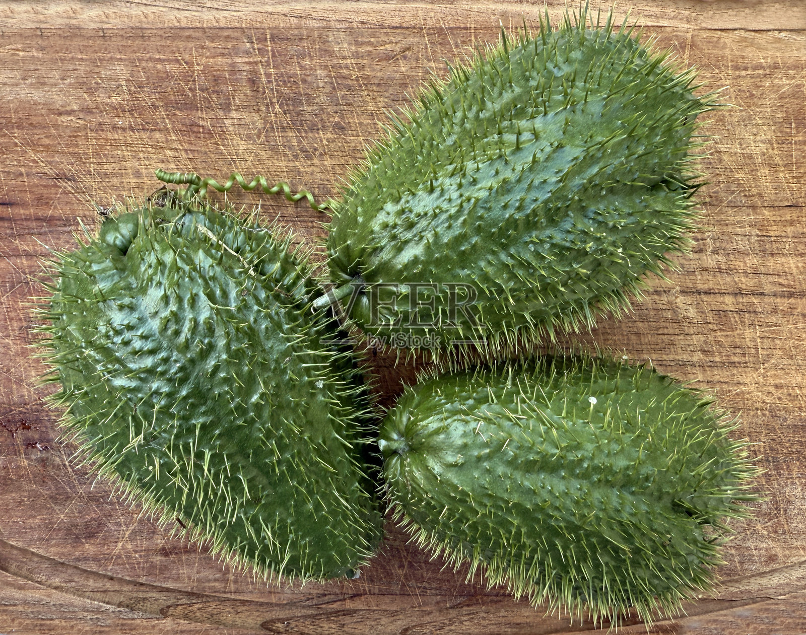 多刺的番荔枝照片摄影图片