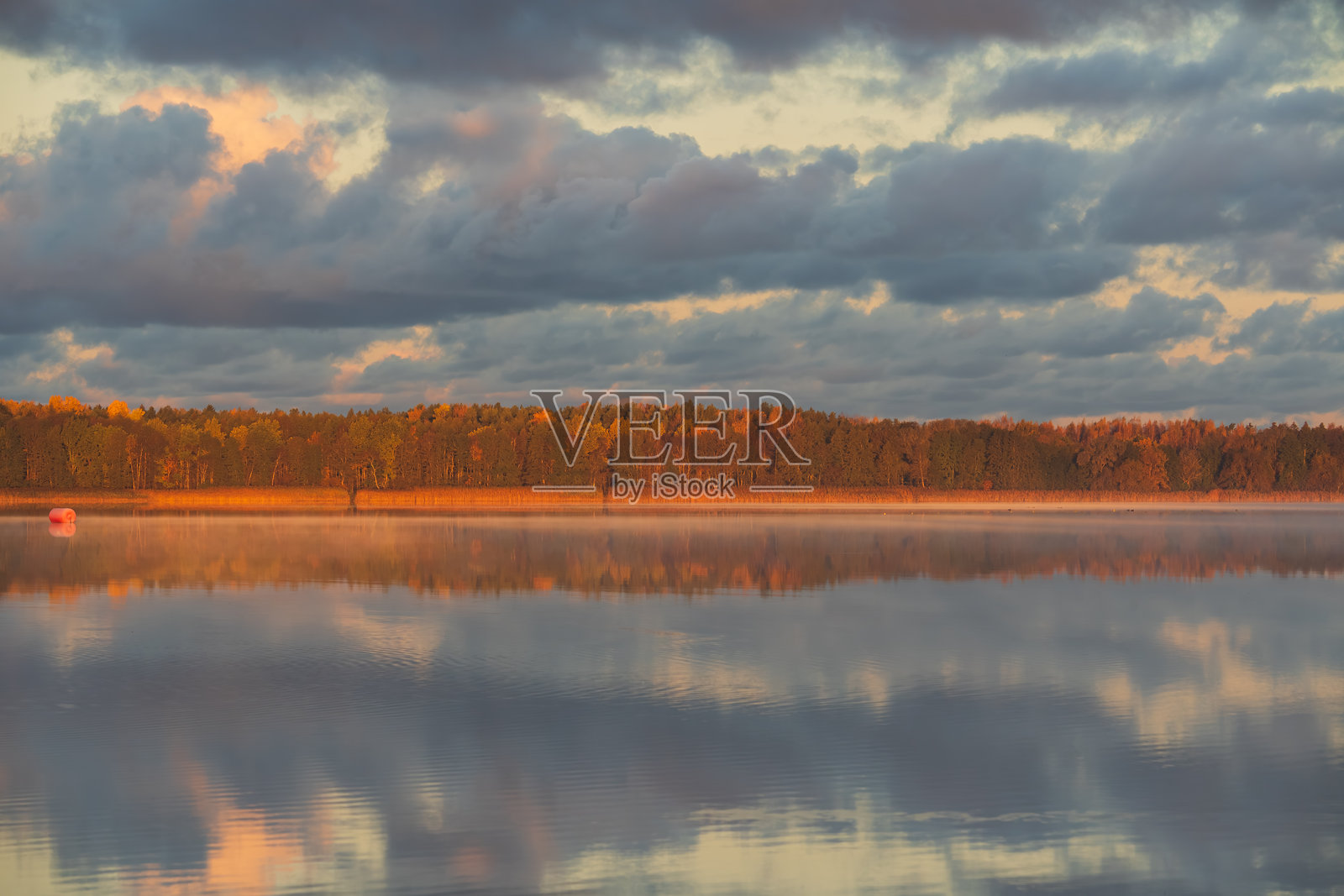 爱沙尼亚哈尔库湖畔宁静的秋日晨曦，金色的森林与戏剧性的云彩在湖面投下完美的倒影。照片摄影图片