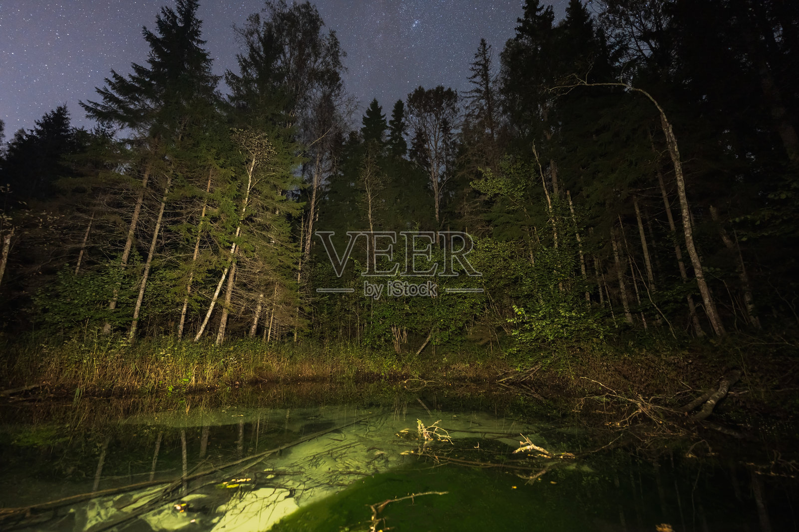 爱沙尼亚圣地西尼亚利卡德泉水的神奇夜晚，星空下的森林里，泉水闪耀着绿色的光芒。照片摄影图片