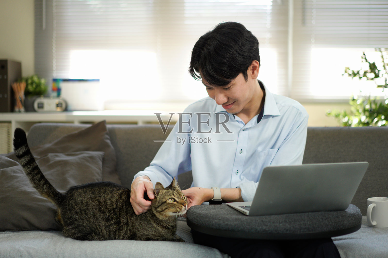 一个年轻男子坐在灰色沙发上，抚摸着一只虎斑猫的头照片摄影图片