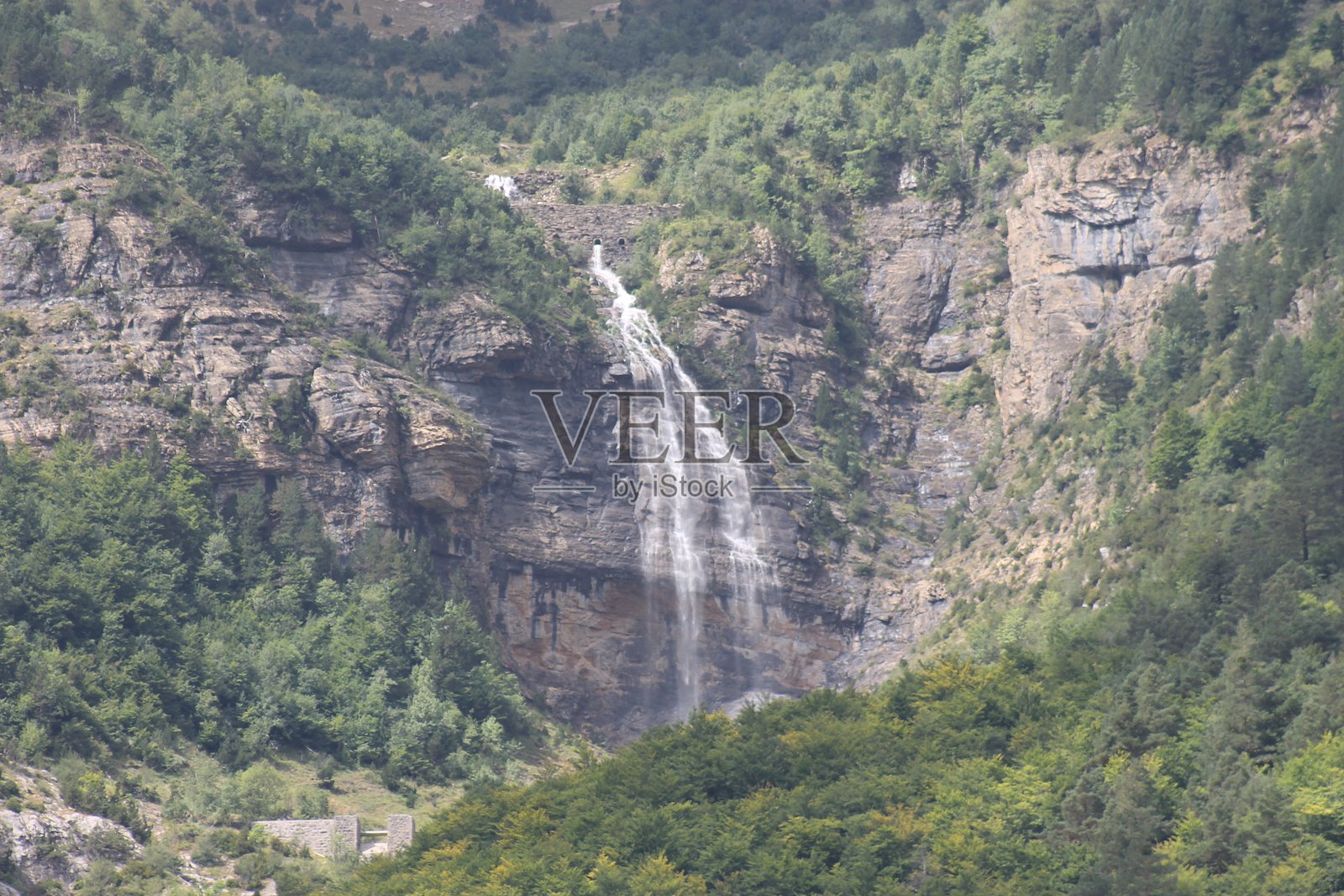 2024 - 坎弗兰克车站自然保护区 - 比利牛斯山照片摄影图片