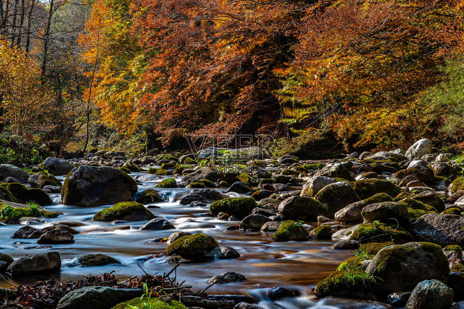 秋日佩西奥山谷绝美色彩照片摄影图片