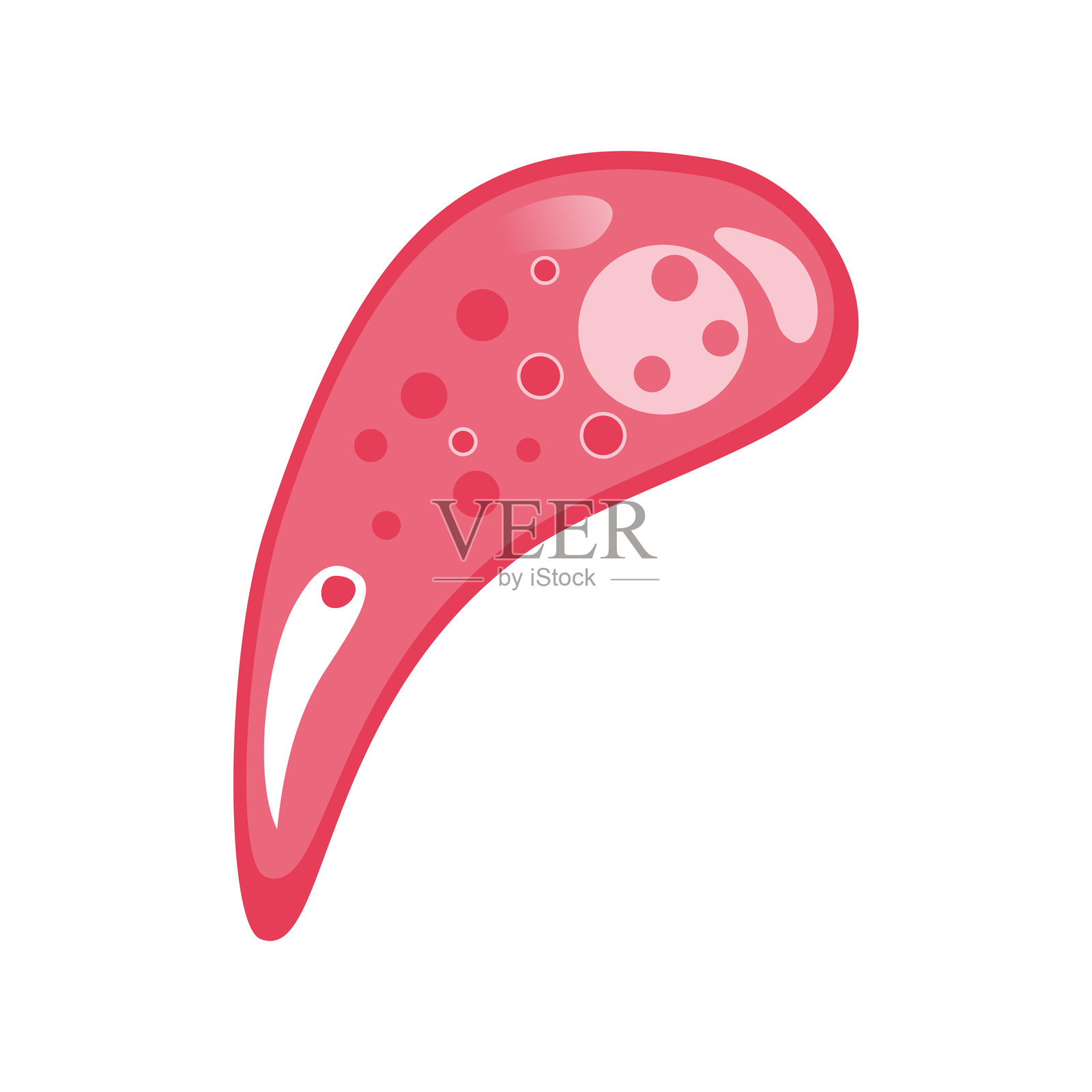 弓形虫病矢量图。描绘人类免疫细胞（包括巨噬细胞和肥大细胞）的矢量插图，展示免疫系统的生物学以及免疫学中的单核细胞类型插画图片素材