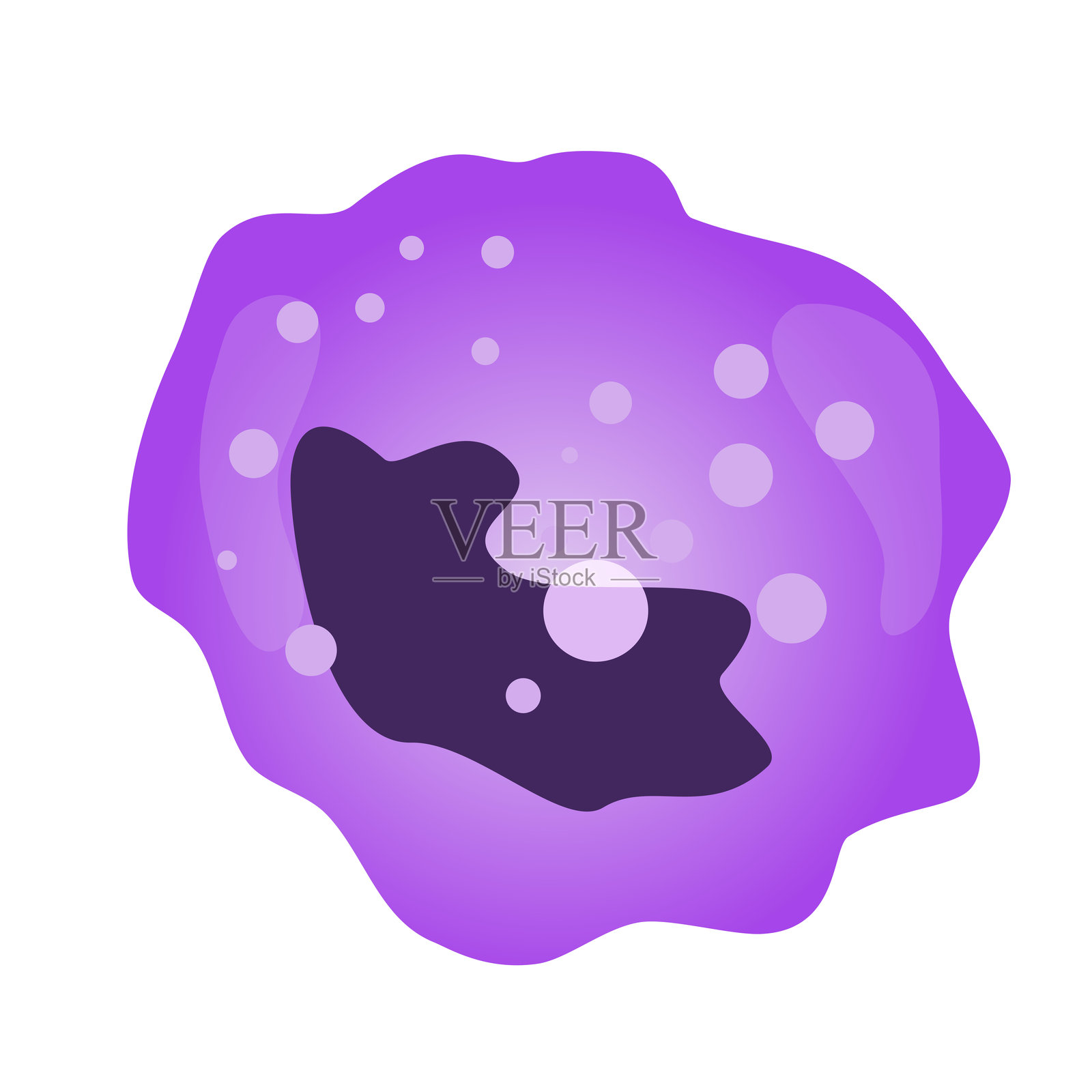 单核细胞插画。矢量血细胞。素材插画插画图片素材