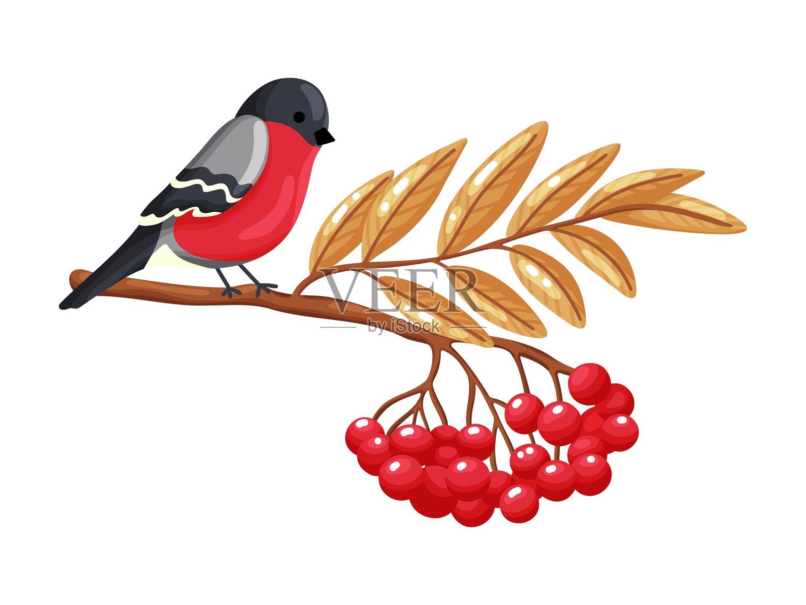 山雀在罗文树枝上的剪贴画插画图片素材