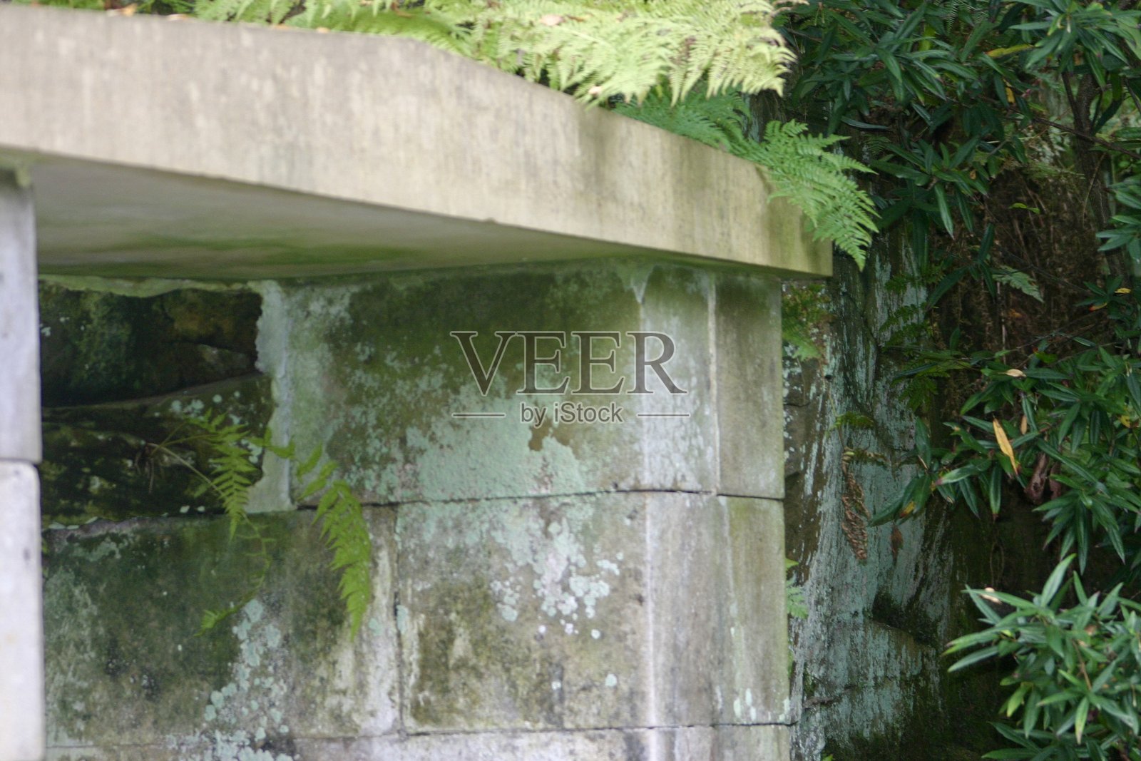 一座古老的石头拱门，坐落在长满苔藓的岩石和葱郁的森林之间。一条宁静的林间小路穿过饱经风霜的门，充满了神秘、历史和自然之美。照片摄影图片