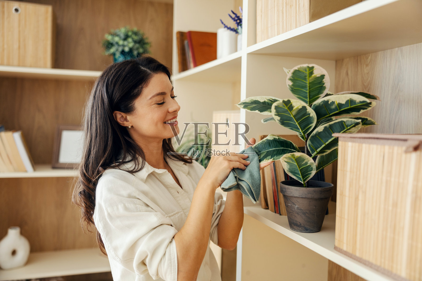 女子在家微笑地清洁室内植物的叶子照片摄影图片