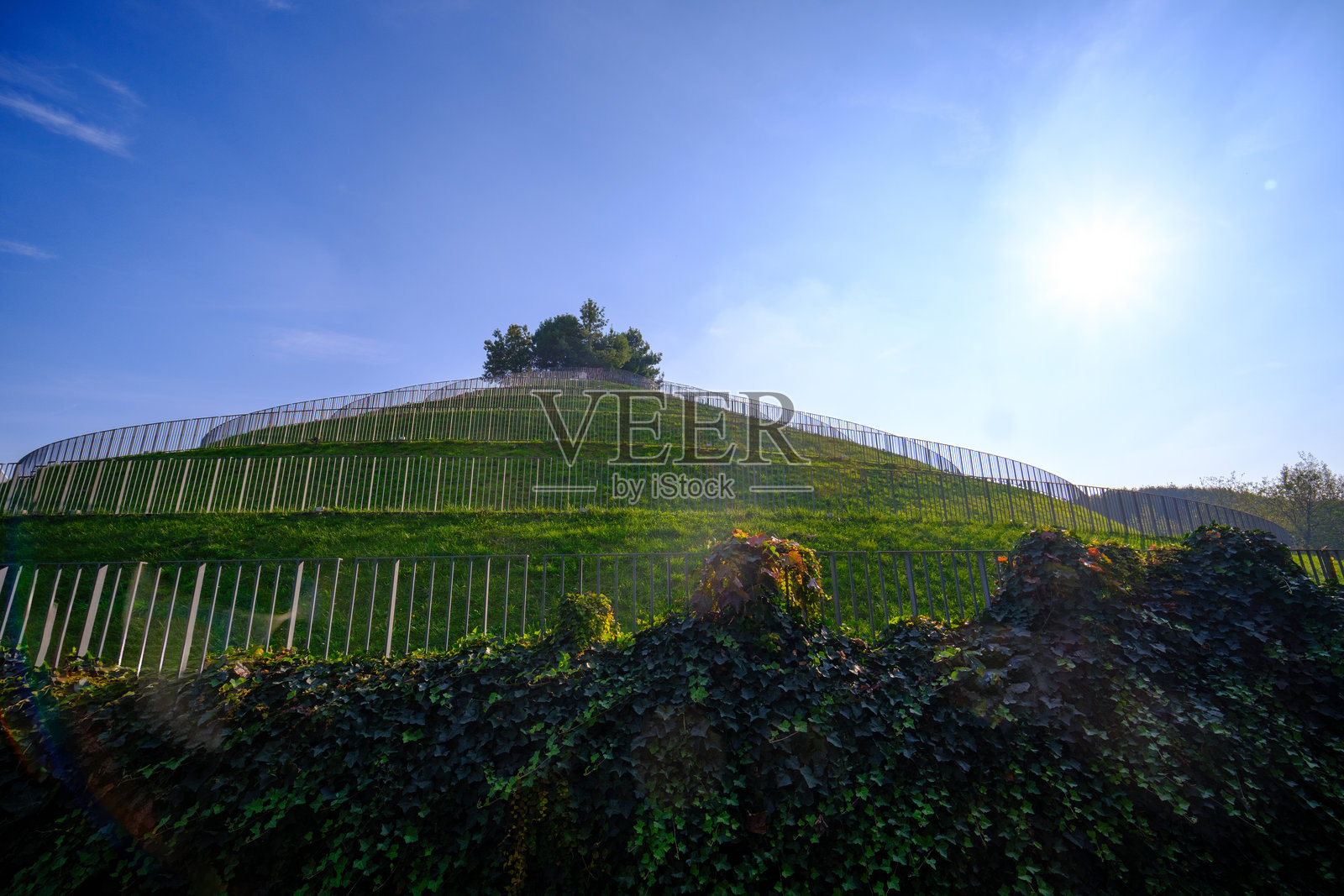 意大利米兰波特洛公园的秋景照片摄影图片