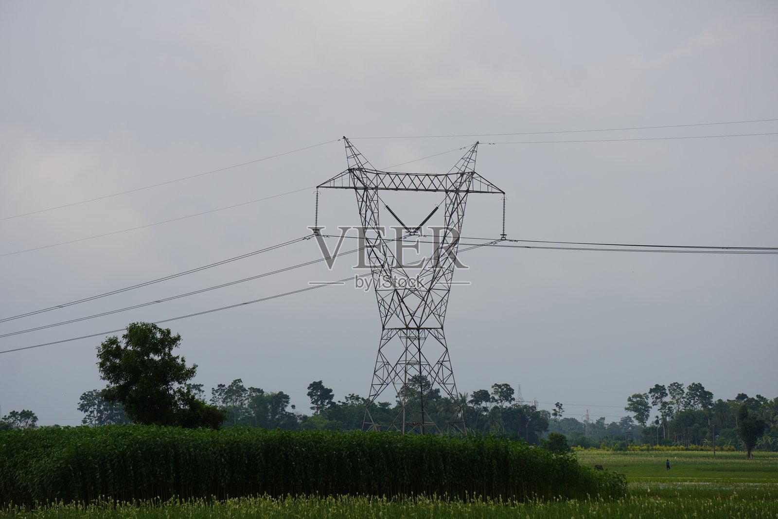 被茂密绿植环绕的农田里的电力塔照片摄影图片
