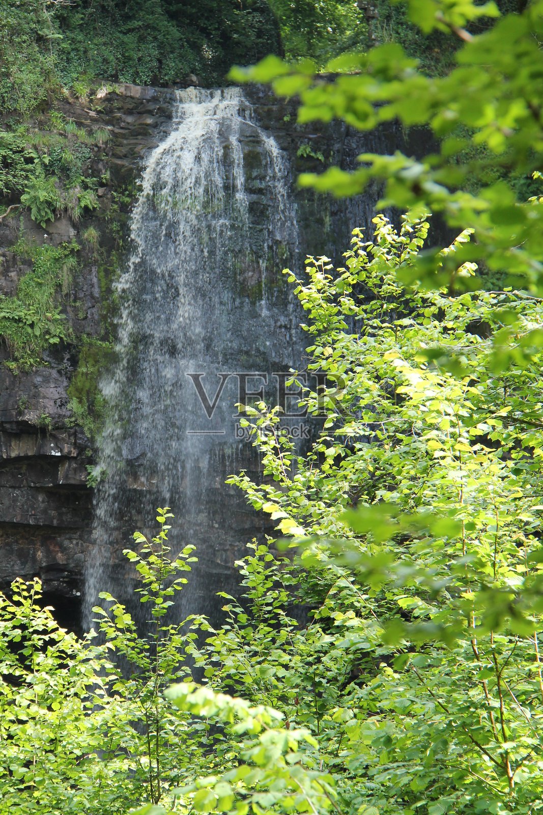 壮观的瀑布照片摄影图片