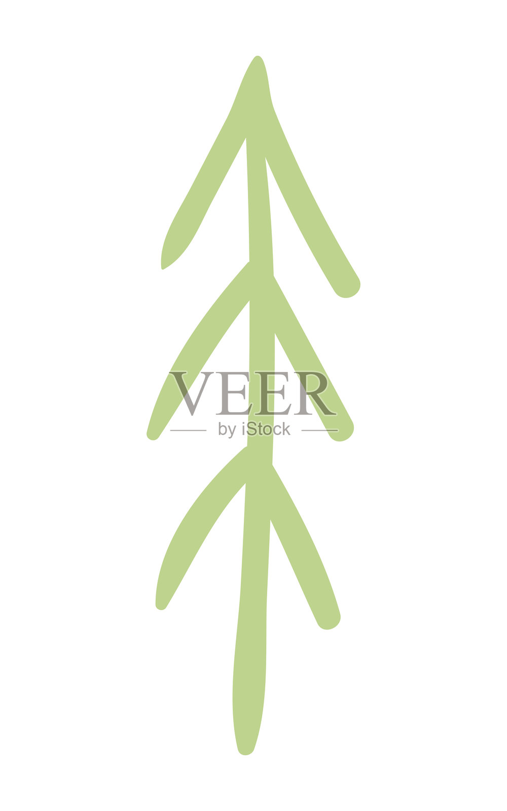 杉树、松树、云杉、针叶树的简单涂鸦，孤立的。插画图片素材