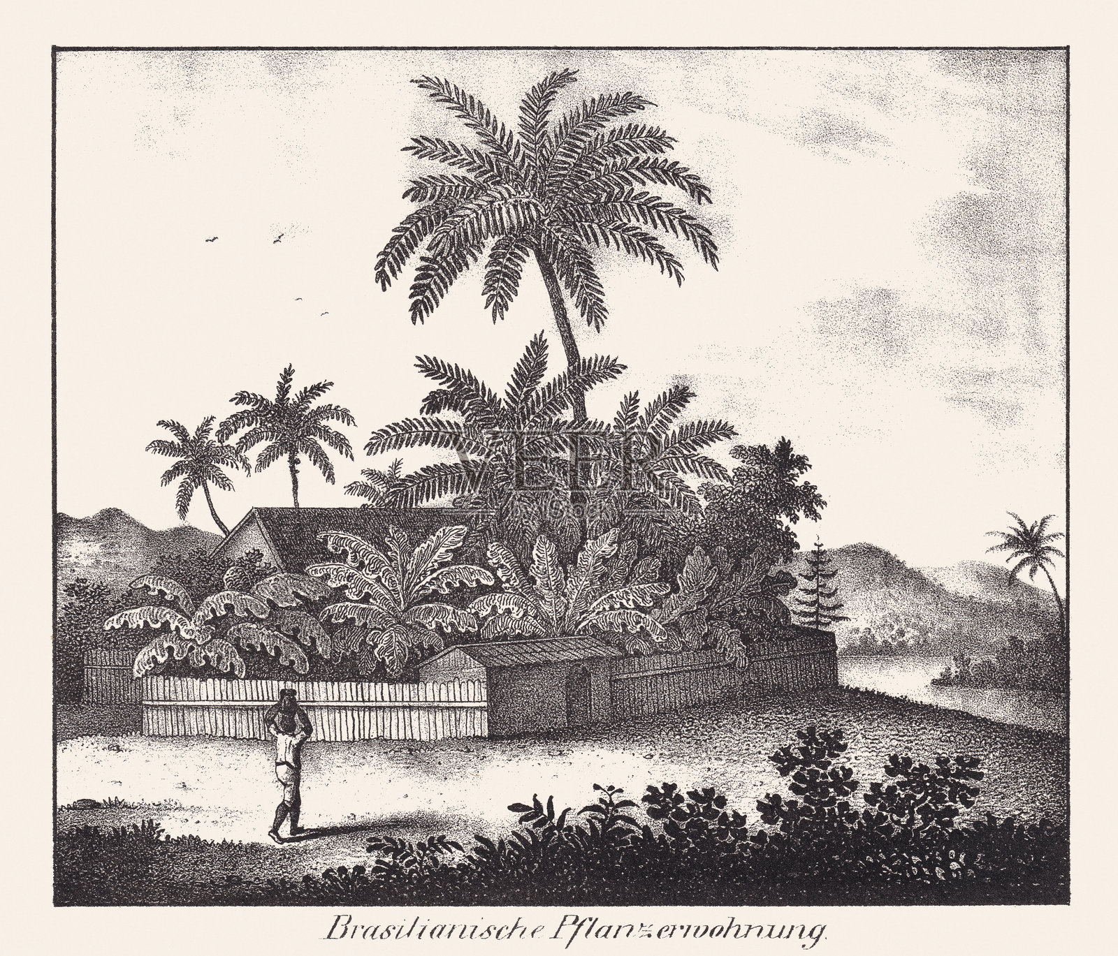 巴西乡村住宅（农场），石版画，约1830年出版插画图片素材