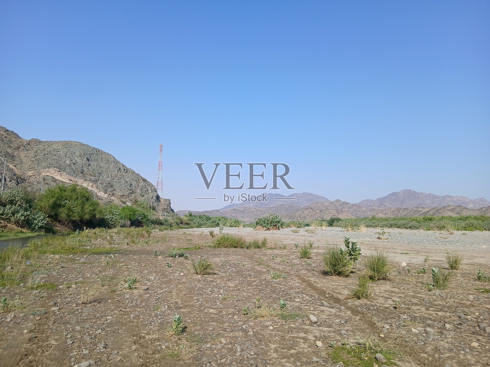 雨后沙特阿拉伯南部山区旁的山谷中的树木和植物照片摄影图片