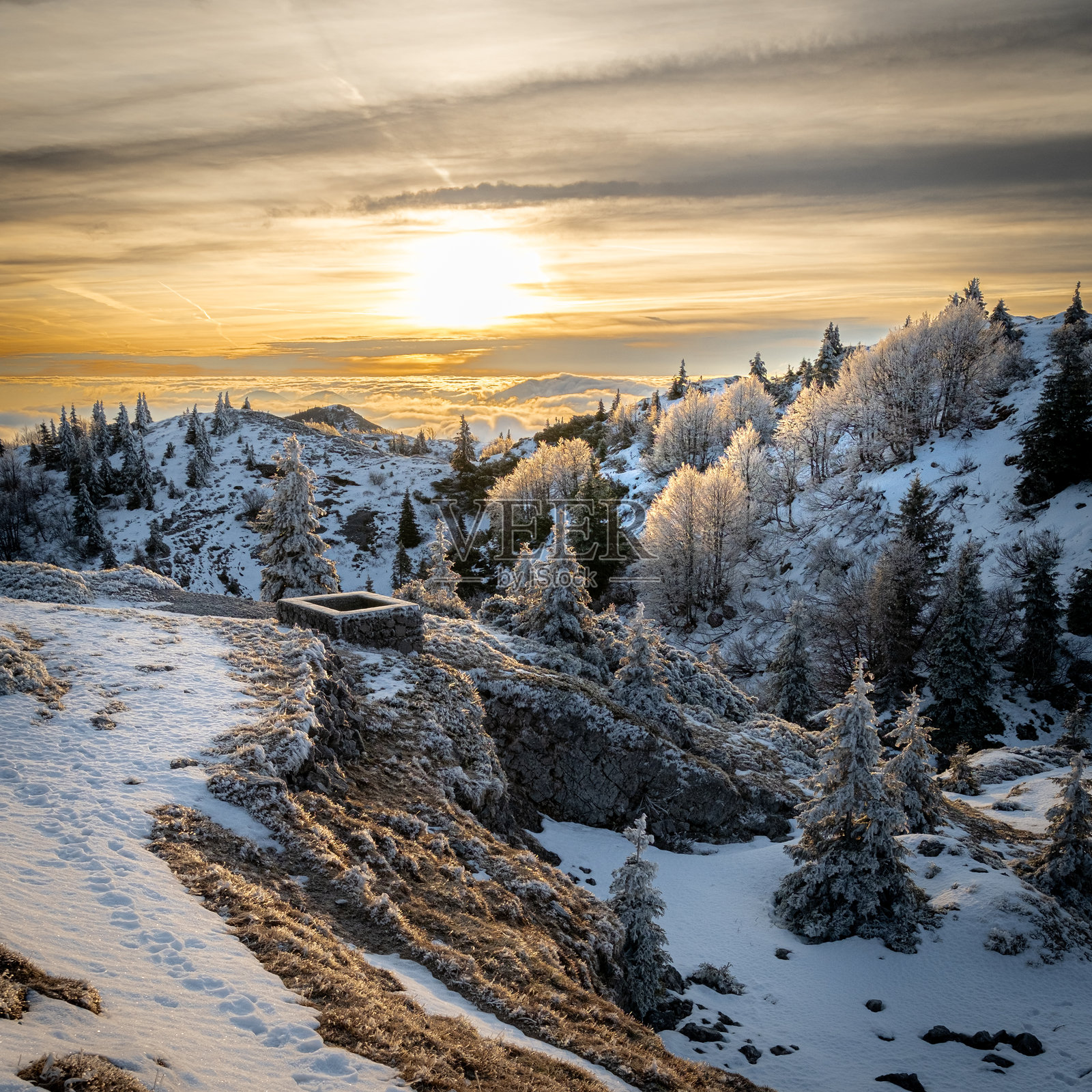 日出时分雪山风光，树木结霜。照片摄影图片