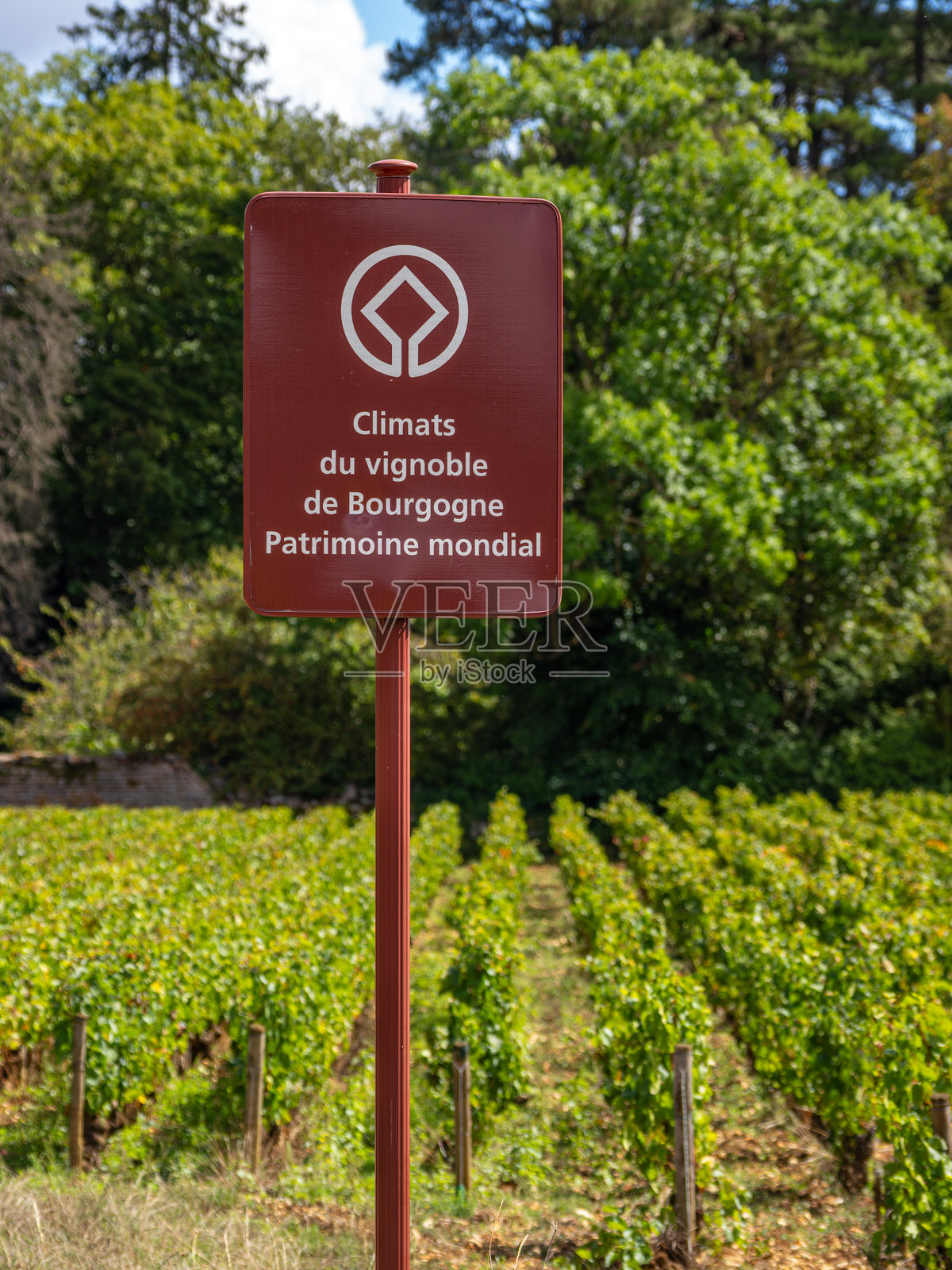 勃艮第葡萄园世界遗产地气候照片摄影图片