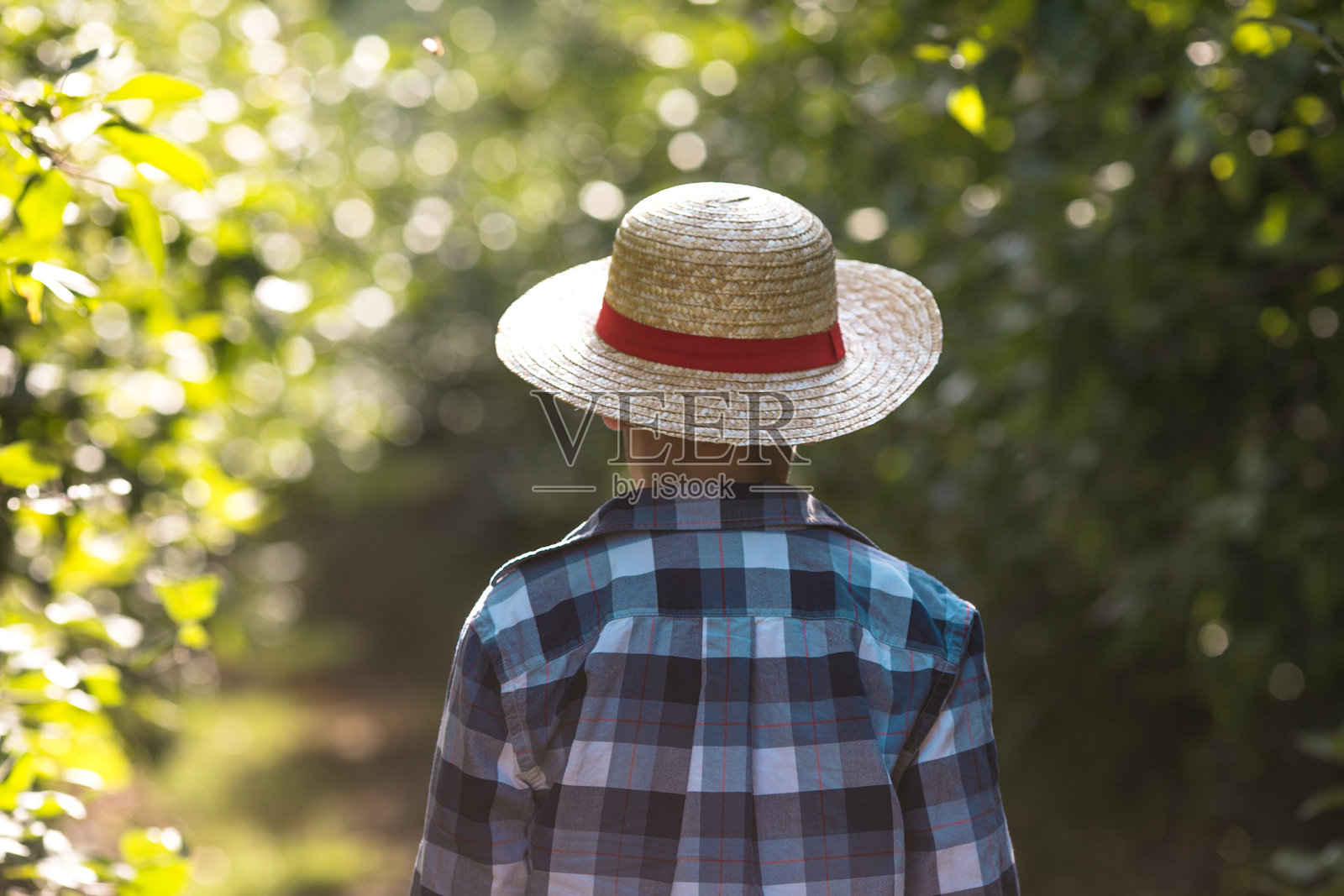 阳光明媚的果园里，一个小男孩戴着草帽，周围环绕着苹果树，这幅迷人的肖像捕捉了童年的温暖和乡村生活。照片摄影图片