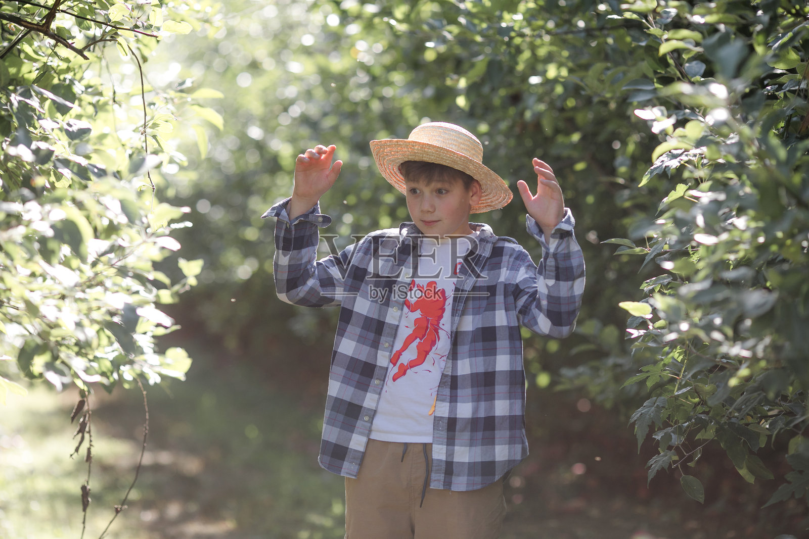 阳光明媚的果园里，一个戴着草帽的男孩站在苹果树丛中，画面充满了童年与乡村生活的温馨气息。照片摄影图片