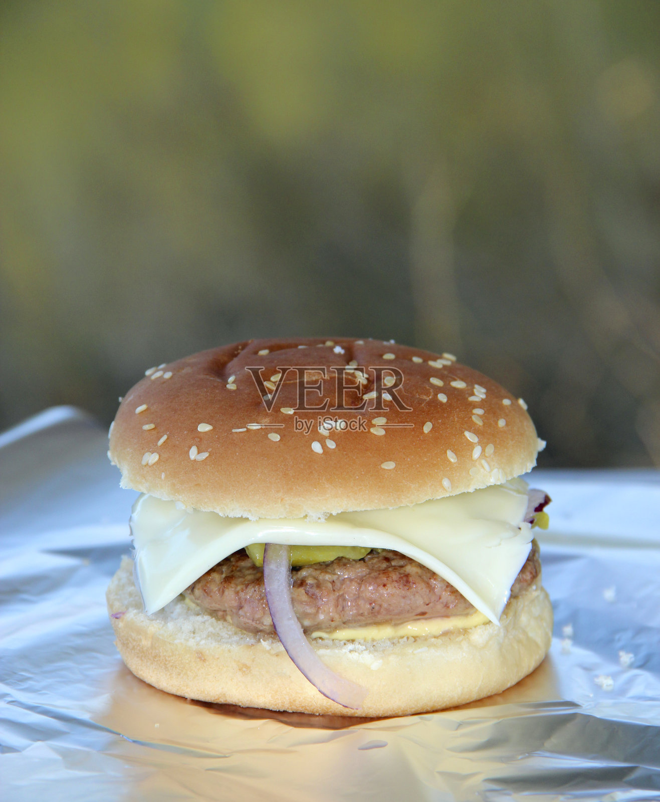 美味的猪肉汉堡，配有奶酪和煎黄瓜。汉堡里的猪肉照片摄影图片