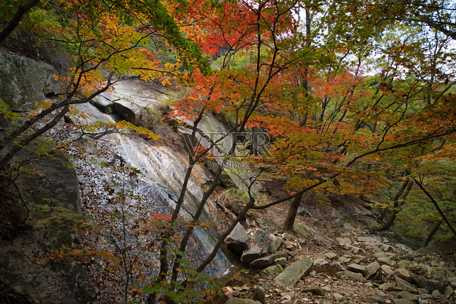 秋季首尔登山照片摄影图片