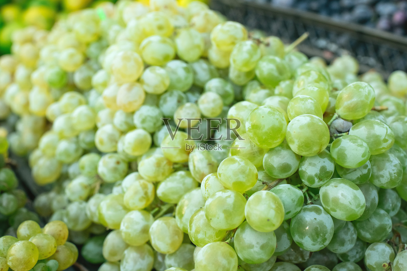 葡萄照片摄影图片