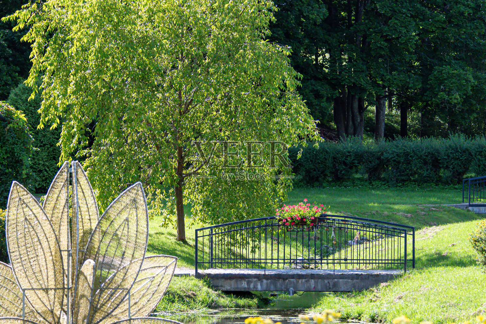 阳光明媚的日子里，公园里有座桥和绿植，一片宁静的景象照片摄影图片