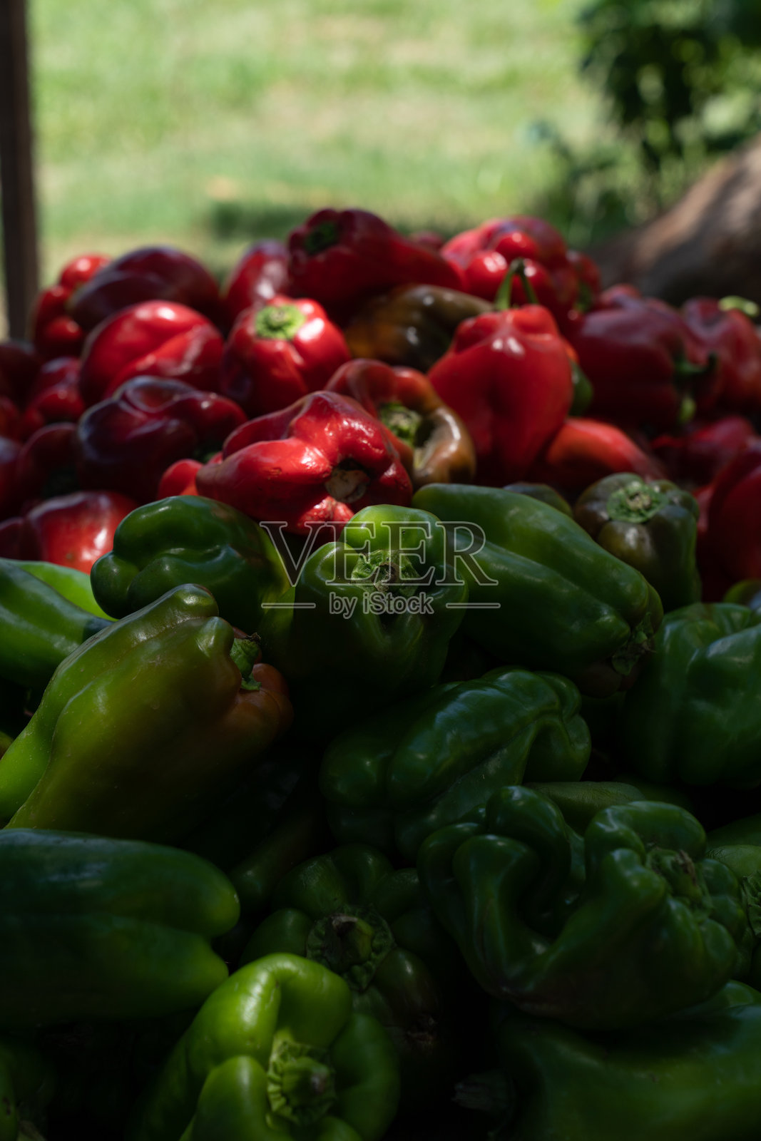街边摊位售卖红绿甜椒照片摄影图片