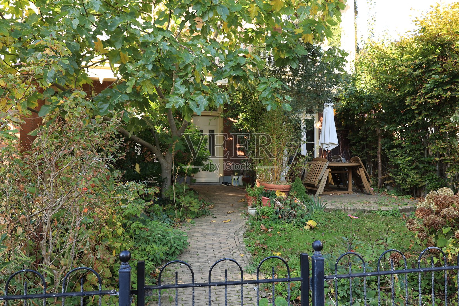 北荷兰省赞德福特阳光明媚的秋日照片摄影图片