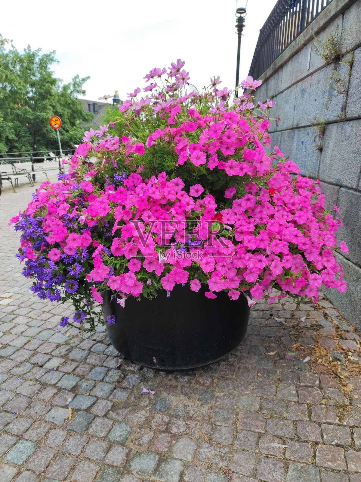 瑞典乌普萨拉镇街道上色彩缤纷的盛开花卉布置照片摄影图片