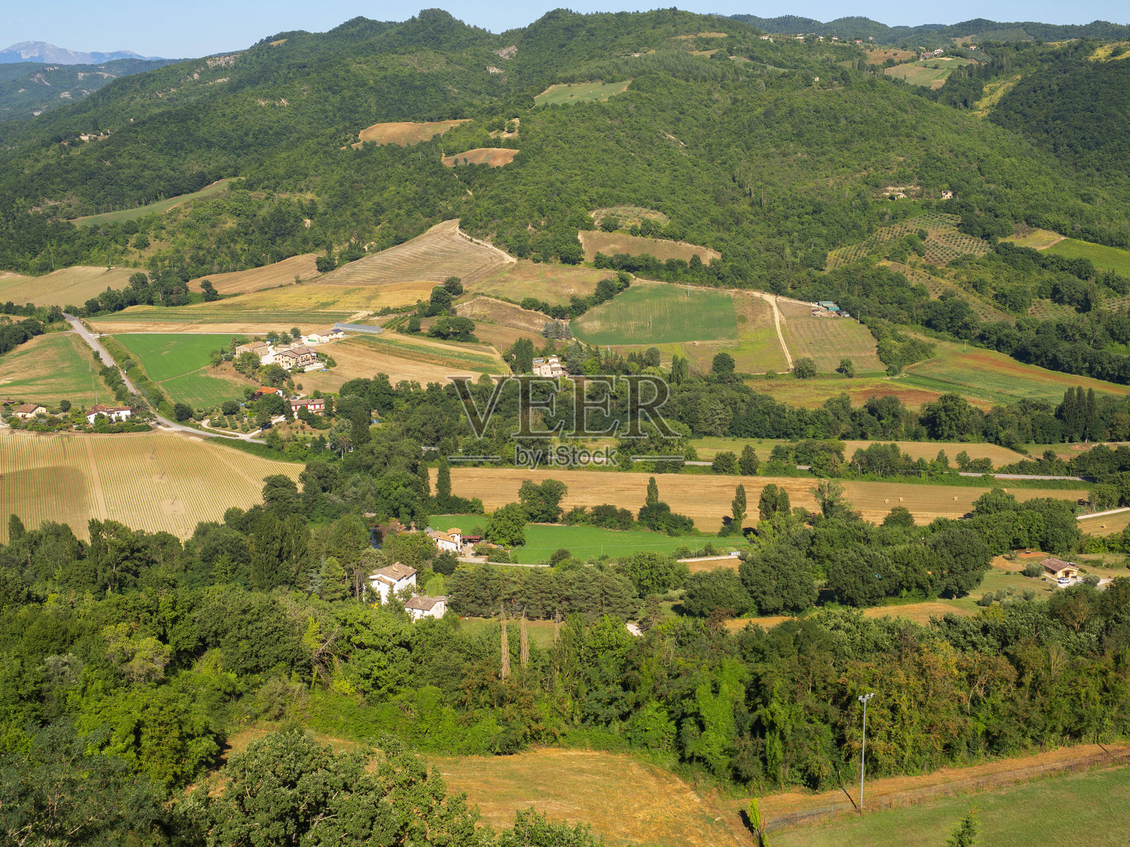 羊毛照片摄影图片